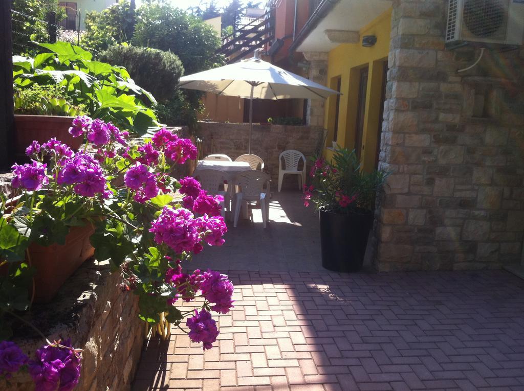 Apartment Sincic Novigrad  Exterior photo